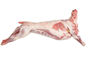Buy Lamb Carcas Bone Whole (Frozen) 9.5 Kg Online