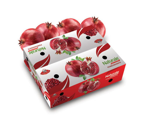 Pomegranate Box Online
