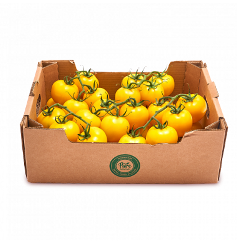 Pure Harvest Tomato Yellow Bunch Box Online