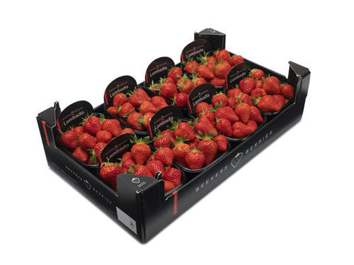 https://farzana.ae/strawberry-box-2