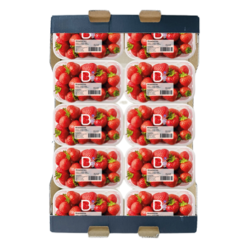 Buy Premium British Strawberries 250g Pack of 10 Online