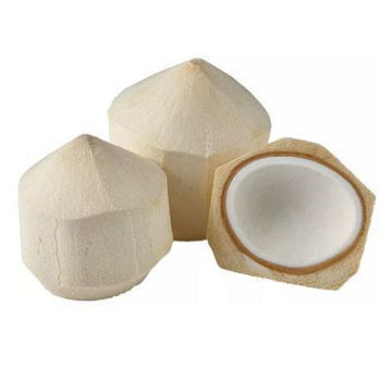 Buy Young Coconut on Farzana.ae Buy Young Coconut Online