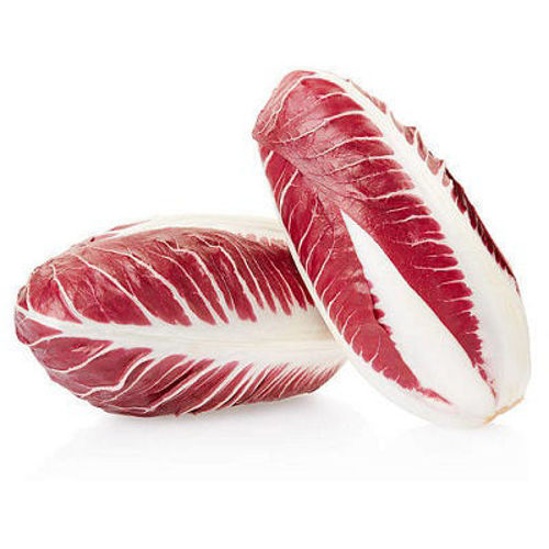 Buy Red Chicory Online