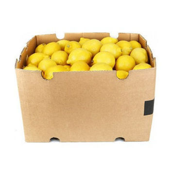 Buy Lemon Box Online