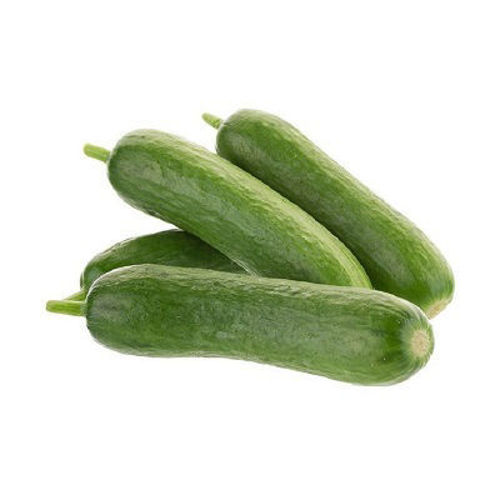 Buy Organic Snack Cucumber Online