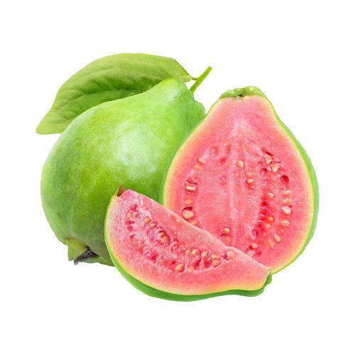 Buy Guava Pink Online