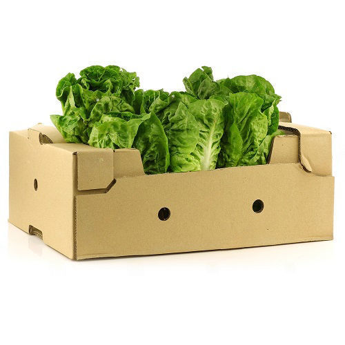 Buy Lettuce Romaine Box Online