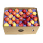 Buy Apple Royal Gala box Italy Online