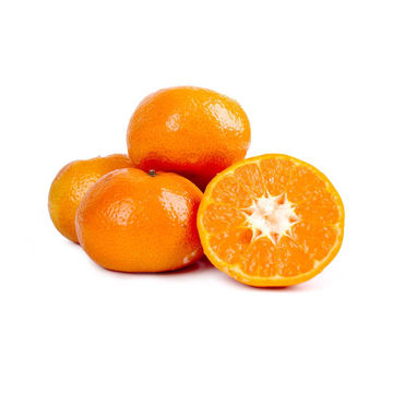 Picture of Mandarin Nadorcott
