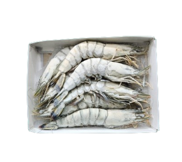 Picture of Black Tiger Prawns U7