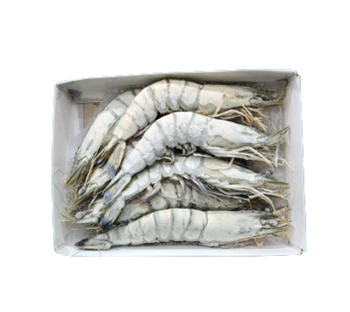 Picture of Black Tiger Prawns U7