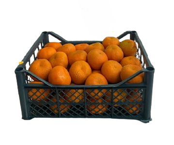 Picture of Mandarin (Tangerine) Egypt Basket 8 Kgs