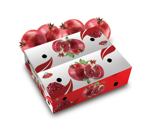 Pomegranate Box Online