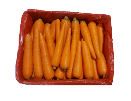 Picture of Carrot Box (China)