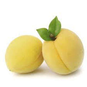 Picture of Apricot Ajami