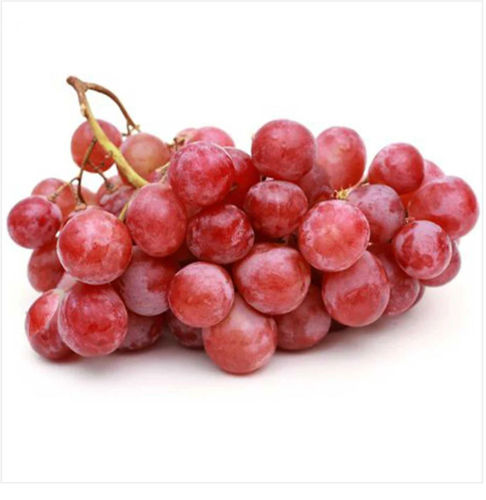 Picture of Grapes Red Seedless