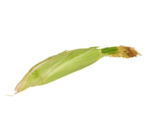 Picture of Sweet Corn  (Unpeeled)