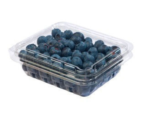 Buy Blueberries on Farzana.ae