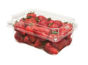 Buy Strawberry Online