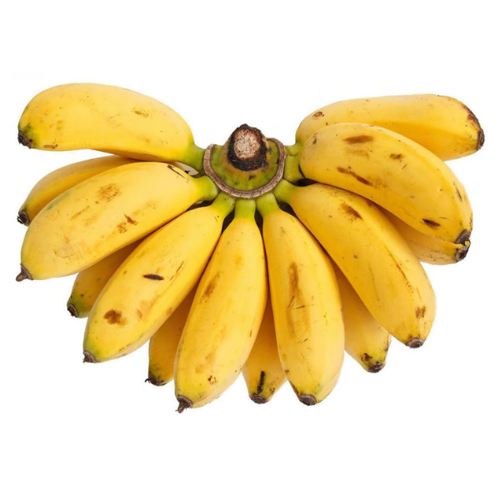 Buy Fresh Baby Bananas Online	