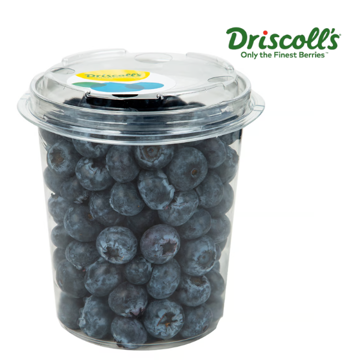 Buy Blueberries Jumbo Cup Online Buy Blueberries Jumbo Cup Online