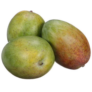 Sweet and Juicy Mango Kiett Egypt – Premium Fresh Mango for Healthy Snacking Fresh Mango Kiett from Egypt, known for its sweet, juicy flavor and smooth texture