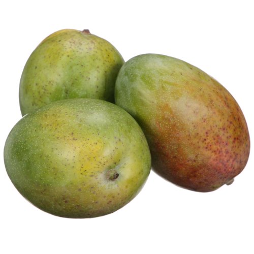 Fresh Mango Kiett from Egypt, known for its sweet, juicy flavor and smooth texture