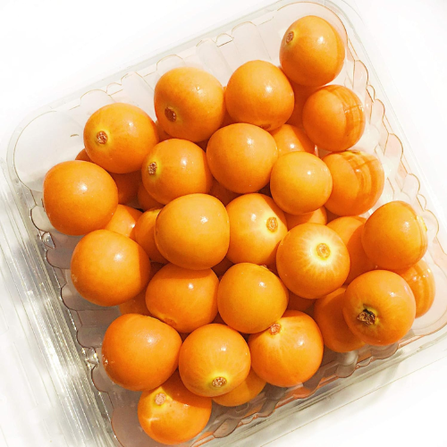 Fresh Golden Berries from Colombia – Sweet-tart, nutrient-packed fruit for a healthy snack