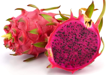 Buy Red Dragon Fruit – Sweet, Vibrant, and Healthy Tropical Fruit for Snacking | Order Now at Farzana.ae Fresh Red Dragon Fruit – Sweet, vibrant, and nutrient-rich tropical fruit. Order now at Farzana.ae for fresh delivery!