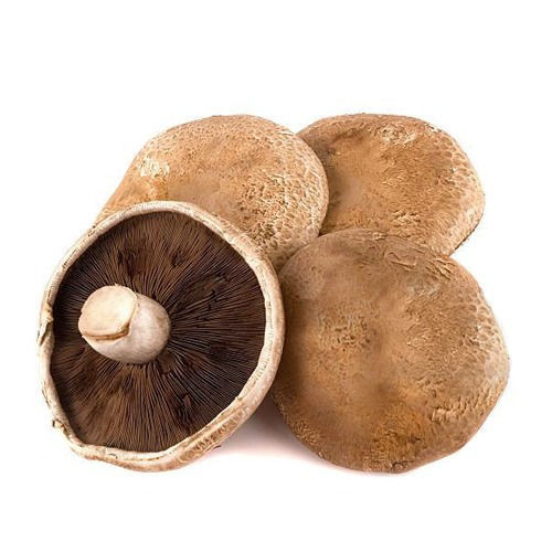 Buy Portabella Mushroom Online