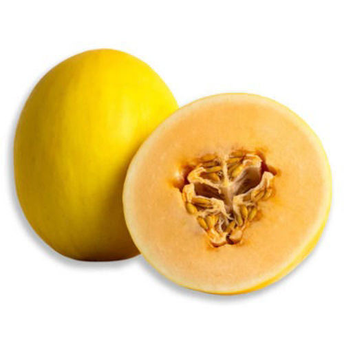 Picture of Honeydew Melon Yellow Spain