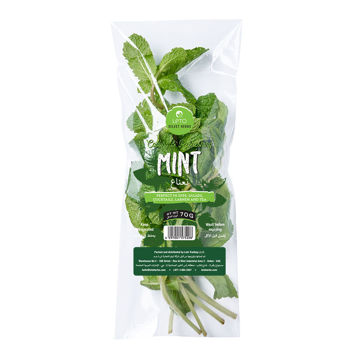 Picture of Leto Mint Pack 70g UZB