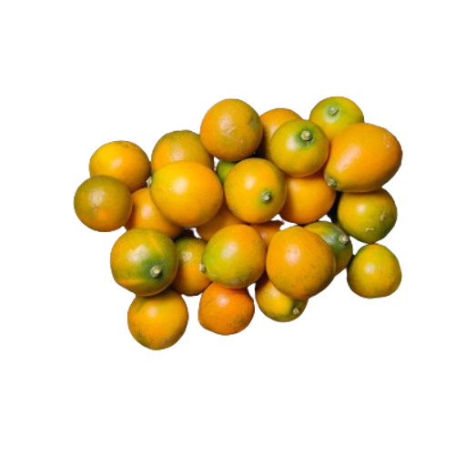 Kumquat China Fruit – Small, Sweet, and Tangy Citrus