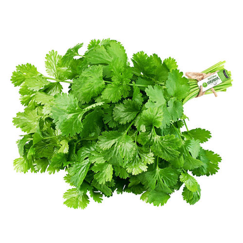 Picture of Leto Coriander Bunch 100g (Premium)