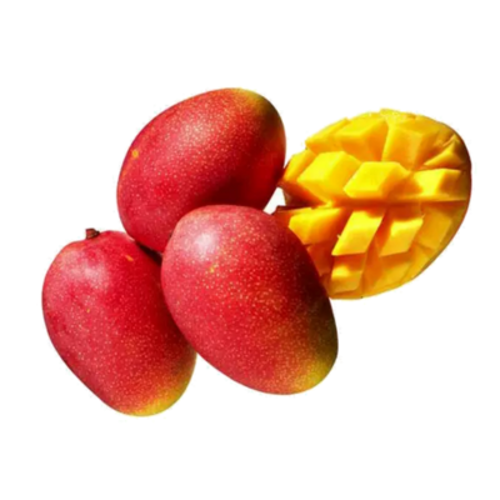 Mango Pearl fruit with golden skin and vibrant color.