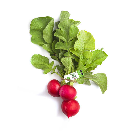 Picture of Leto Premium Red Radish Bunch 100g