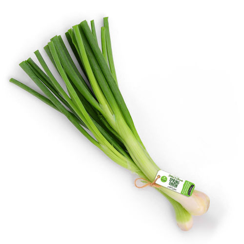 Picture of Leto Premium Spring Onion Bunch 100g