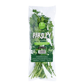 Picture of Leto Parsley Pack 70g UZB
