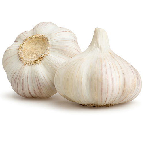 Buy Organic Garlic Online