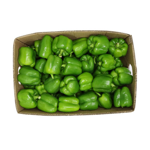 Picture of Capsicum Green Box