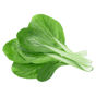 Buy Pakchoi on Farzana.ae