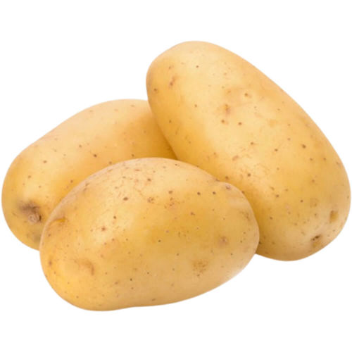 Fresh Potatoes from Pakistan – Versatile and Nutritious for Every Dish