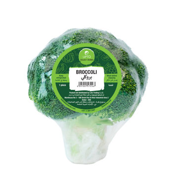 Leto Broccoli – Fresh, crisp broccoli packed with essential nutrients and perfect for various dishes.