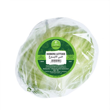 Picture of Leto Iceberg Lettuce 1 piece