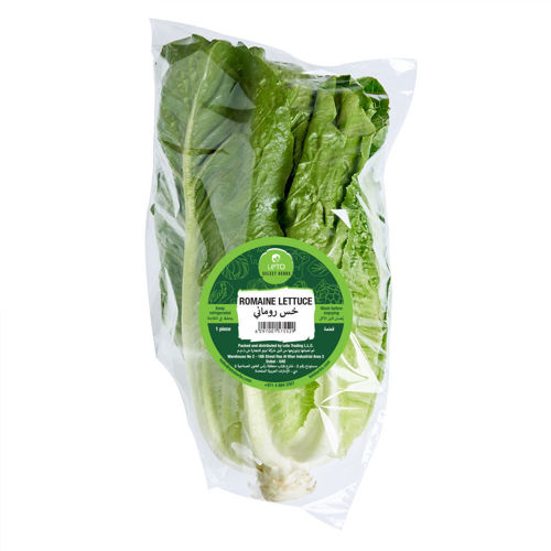 Picture of Leto Lettuce Romaine