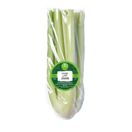 Picture of Leto Celery 1 piece (without leaves)