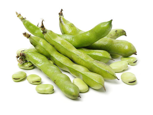 Fresh Green Broad Beans in pods and shelled, nutrient-rich and available at Farzana.ae