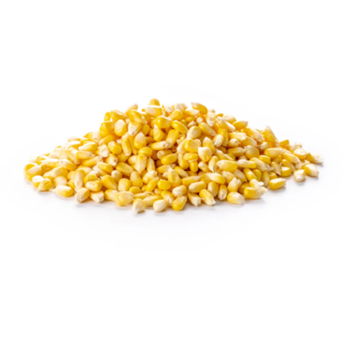 Fresh Nipped Sweet Corn 200g pack – tender, golden corn kernels ready to cook or serve