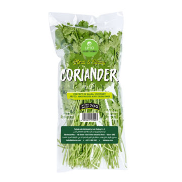 Picture of Leto Coriander Pack 70g UZB
