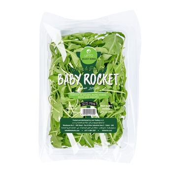 Picture of Leto Baby Rocket Premium 75g
